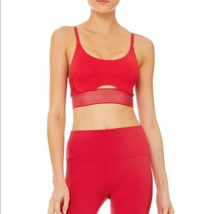 Alo Line Up Sports Bra